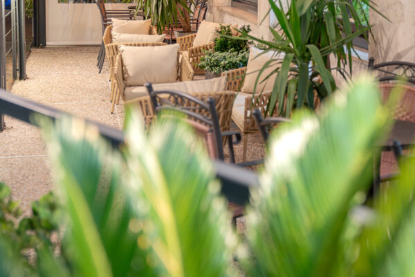 CCC00676